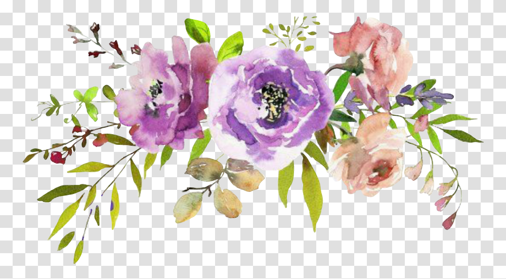 Flowers Watercolor Background, Plant, Graphics, Art, Floral Design Transparent Png