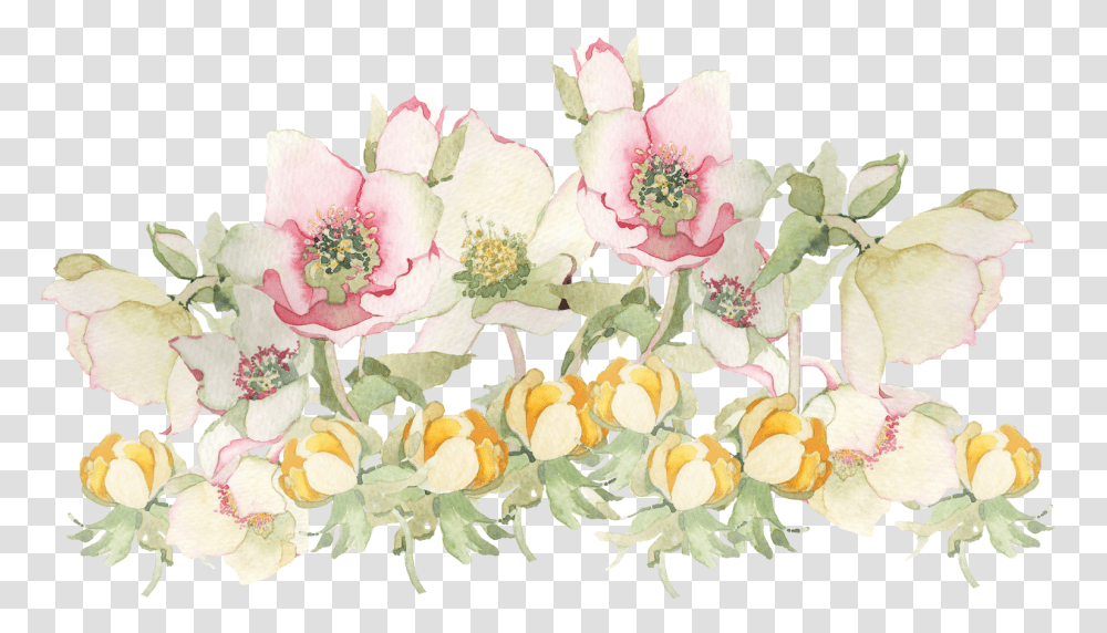Flowers Watercolor Tumblr, Plant, Floral Design, Pattern Transparent Png