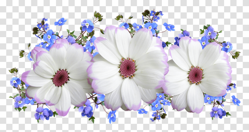 Flowers White And Blue Floral Verse Blue White Flowers, Plant, Blossom, Pollen, Flower Arrangement Transparent Png
