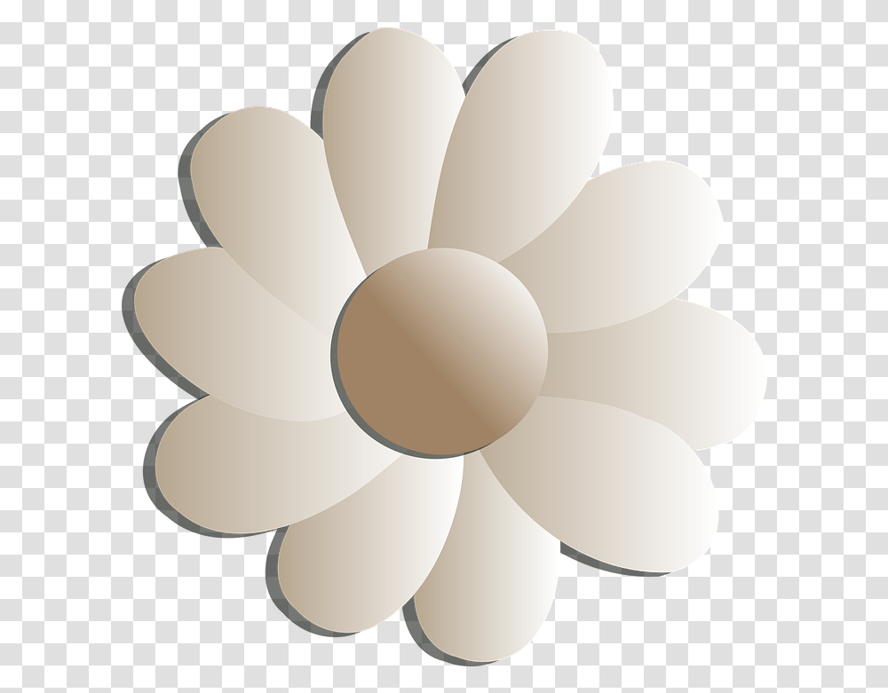 Flowers White Floral Black And White Flowers, Lamp, Petal, Plant, Blossom Transparent Png