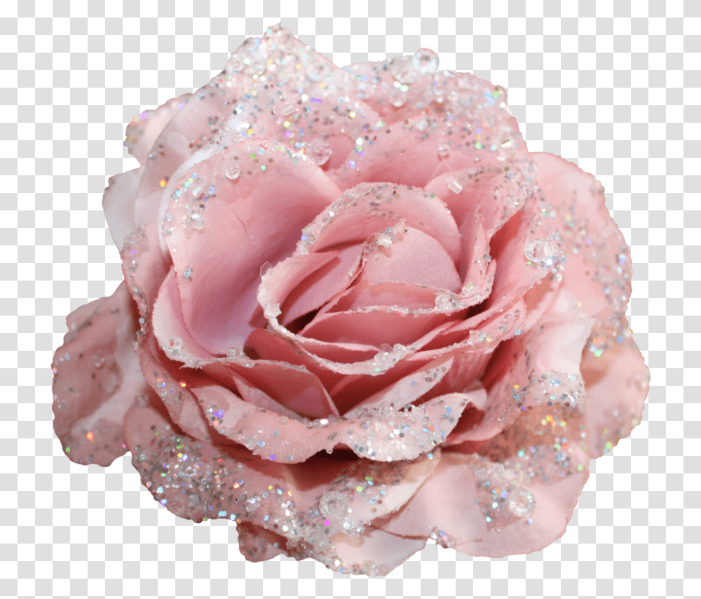 Flowers With Glitter, Rose, Plant, Blossom, Petal Transparent Png