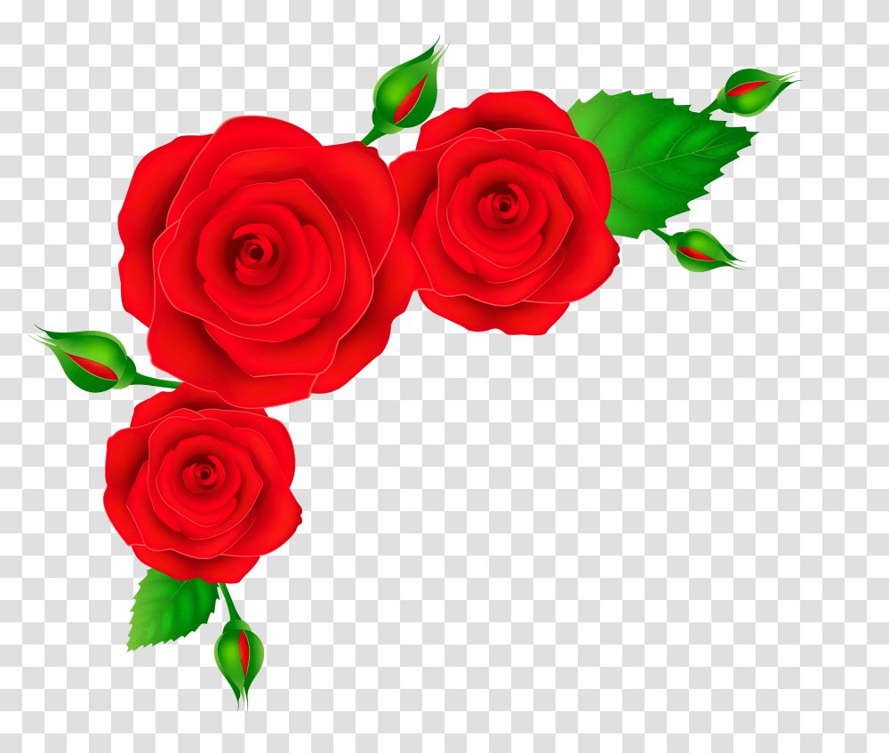 Flowery Red Roses Rose Transparent Png