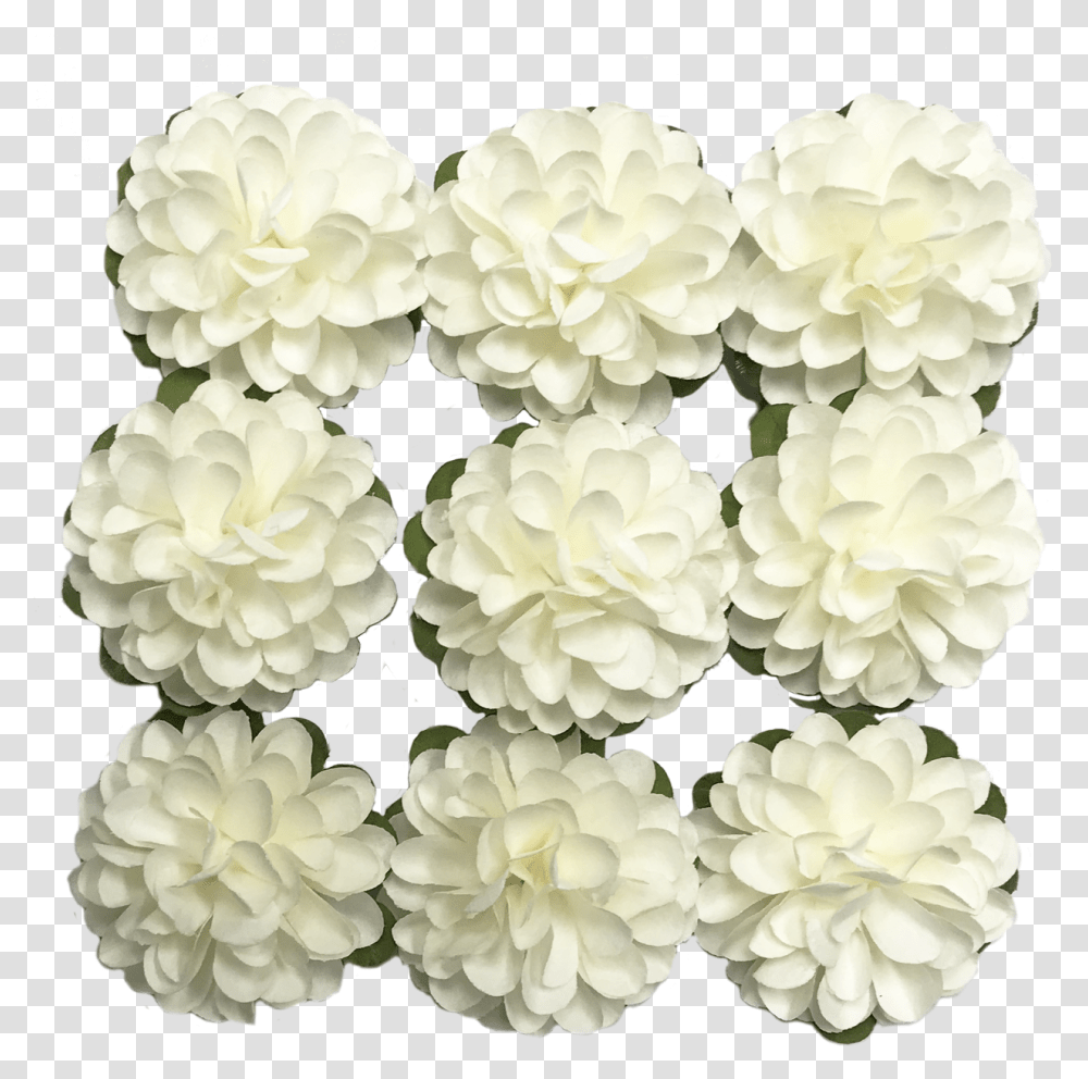 Flr 062 Paper Flower White, Dahlia, Plant, Blossom, Cushion Transparent Png