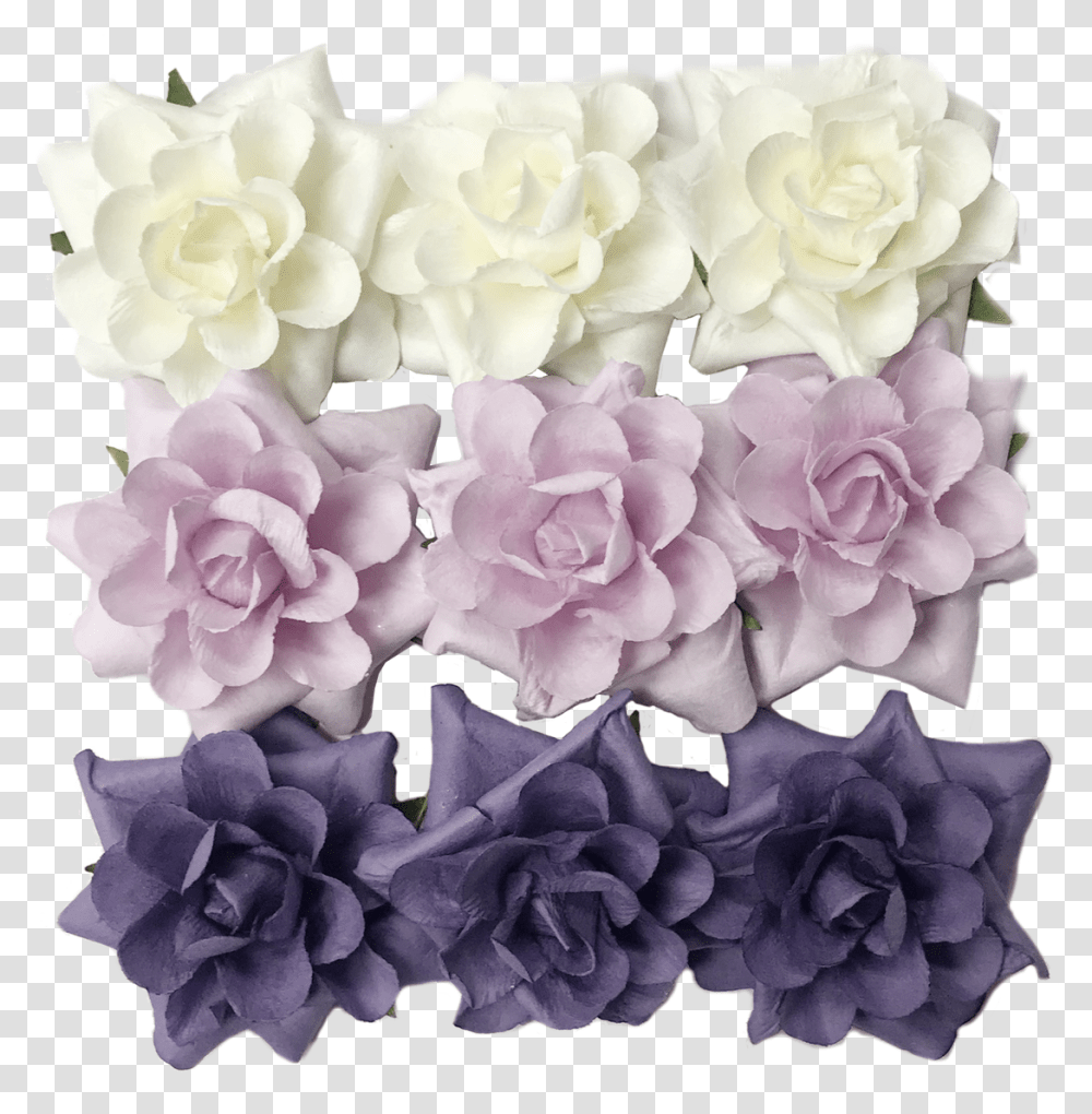 Flr 065 Paper Flowercream Pink Purple Garden Roses, Plant, Blossom, Geranium, Petal Transparent Png
