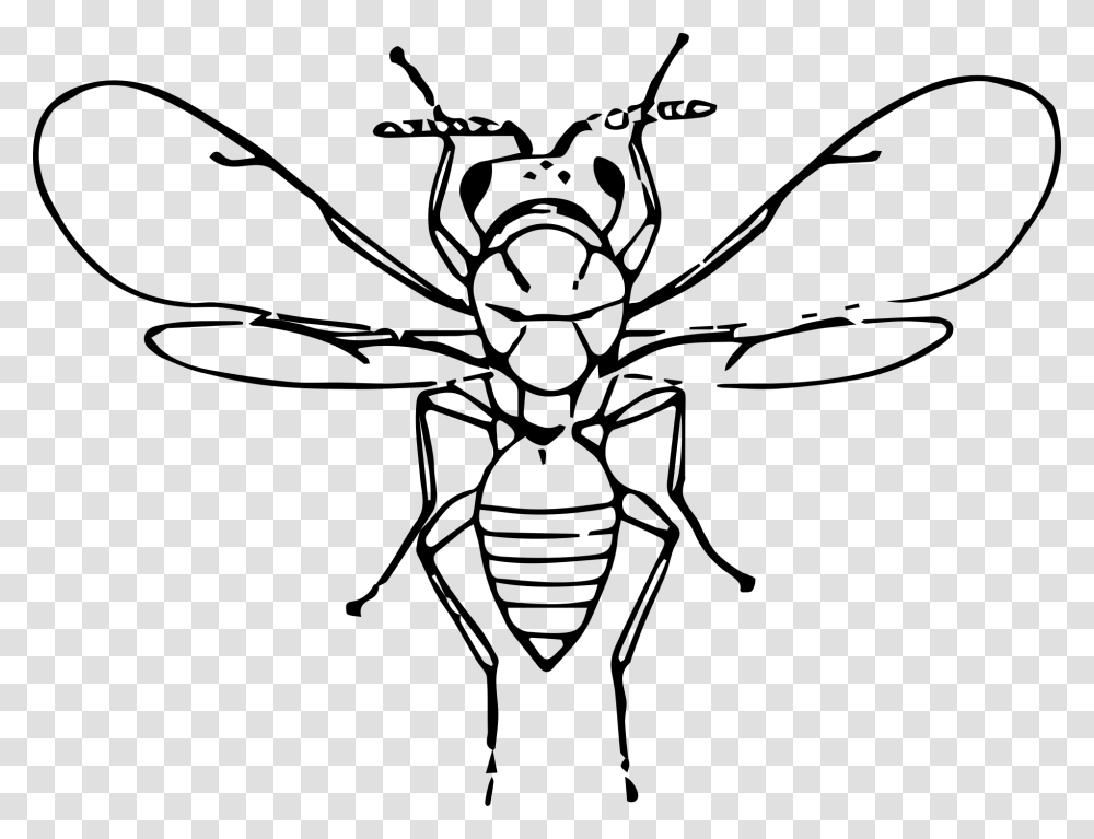Flu Bug Clip Art Insect, Gray, World Of Warcraft Transparent Png