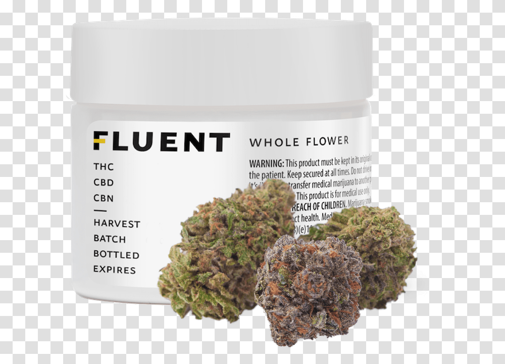 Fluent Medical Marijuanas Flower, Plant, Vegetable, Food, Broccoli Transparent Png