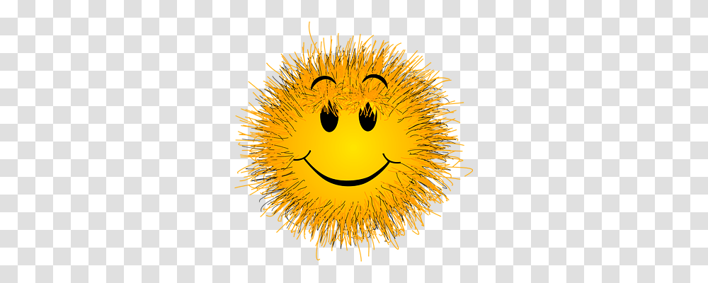 Fluffy Emotion, Plant, Flower, Blossom Transparent Png