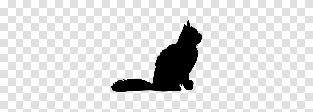 Fluffy Cat Sticker, Silhouette, Pet, Mammal, Animal Transparent Png