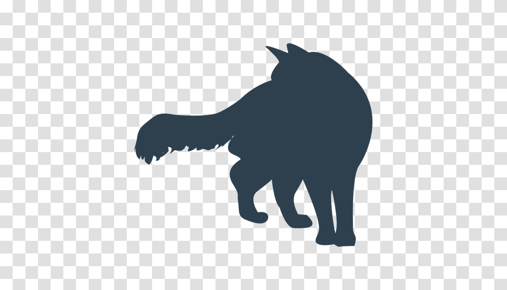 Fluffy Tail Cat Silhouette, Animal, Mammal, Wildlife, Elephant Transparent Png