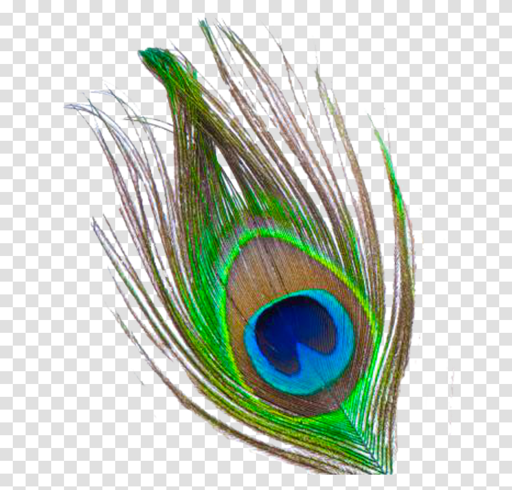 Flute Clipart Peacock Feather, Animal, Bird Transparent Png