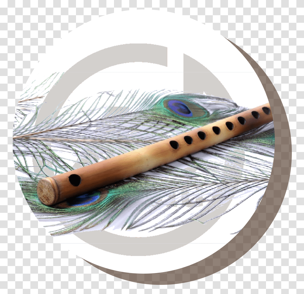 Flute, Leisure Activities, Musical Instrument, Sunglasses, Accessories Transparent Png