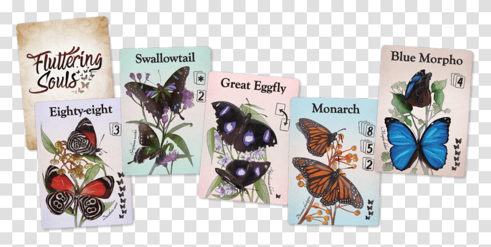 Fluttering Souls Butterflies Fluttering Souls, Bird, Animal, Insect, Invertebrate Transparent Png