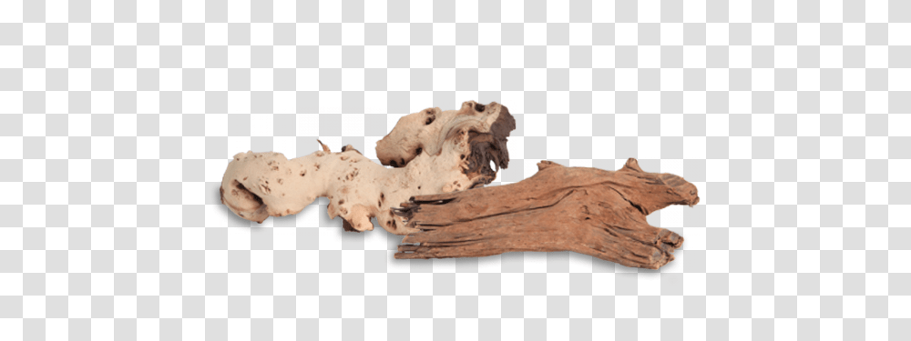 Fluval Faqs Driftwood Driftwood, Diagram, Map, Plot, Poster Transparent Png