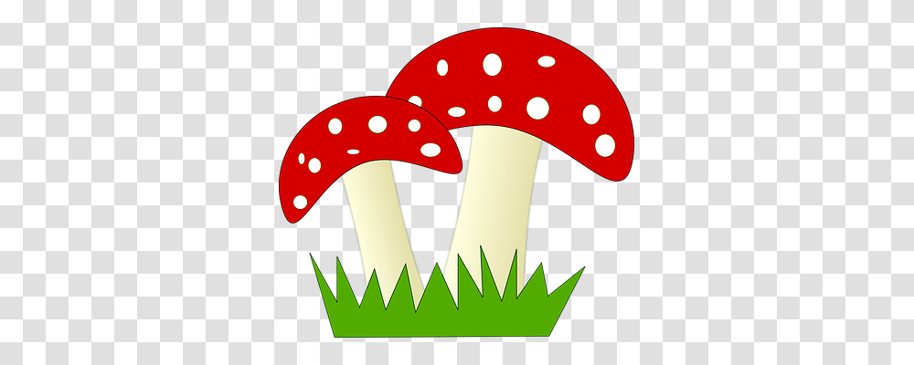 Fly Nature, Plant, Agaric, Mushroom Transparent Png
