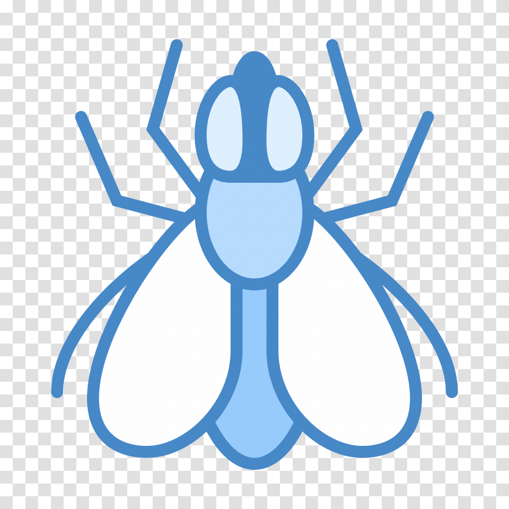 Fly, Animal, Invertebrate, Insect, Spider Transparent Png