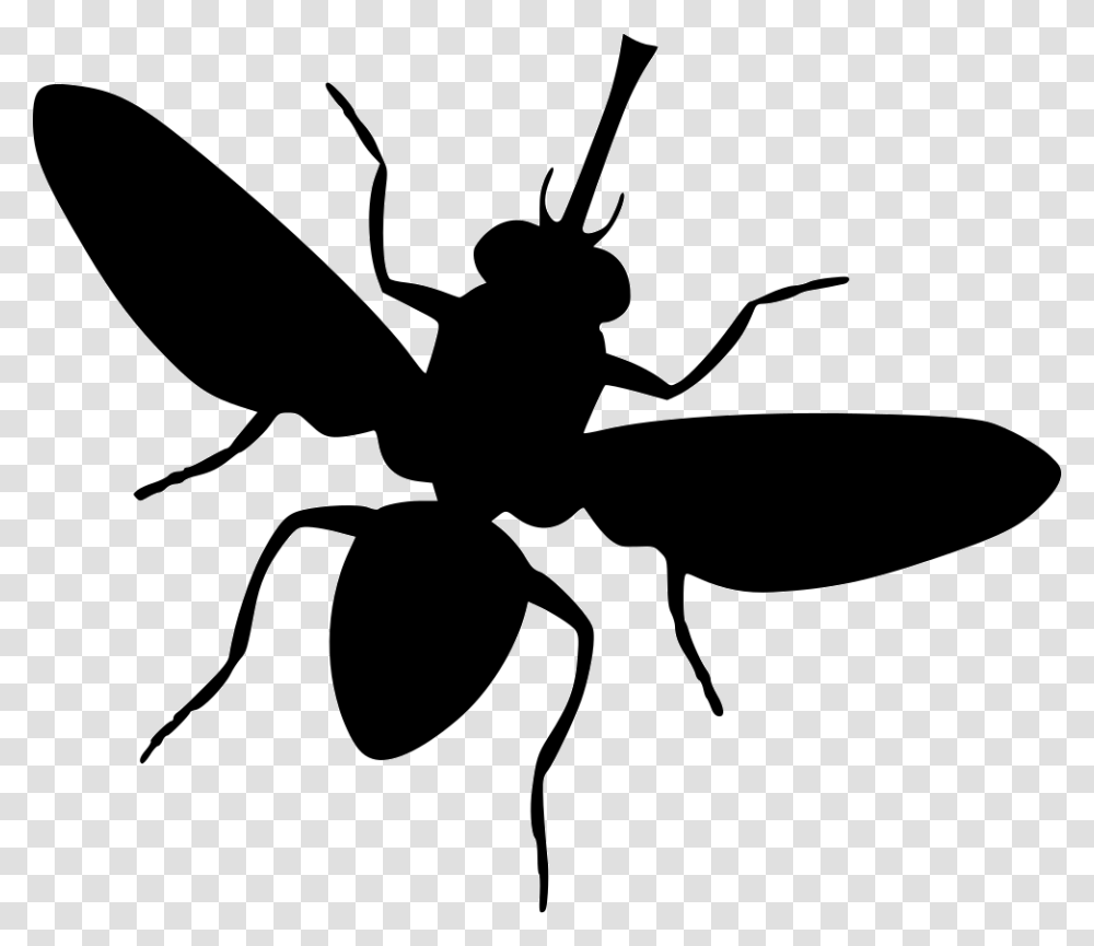 Fly Ant, Insect, Invertebrate, Animal, Silhouette Transparent Png