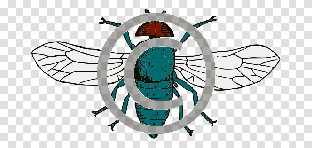 Fly, Building, Architecture, Furniture, Sphere Transparent Png