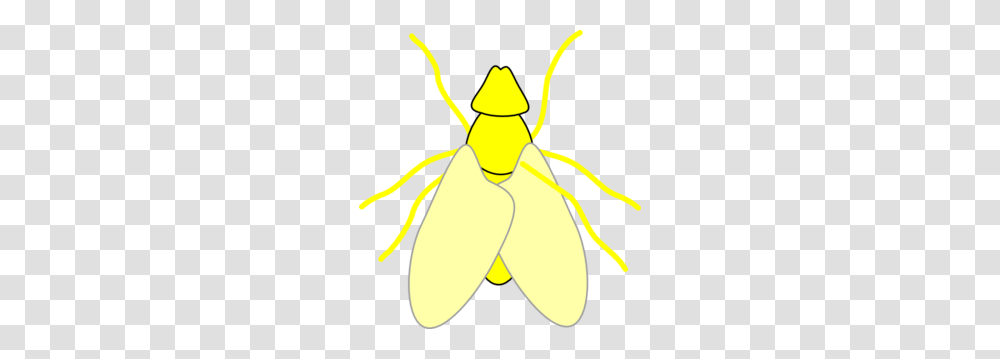Fly Clip Art, Animal, Insect, Invertebrate, Butterfly Transparent Png