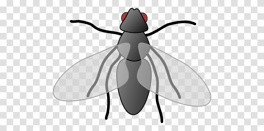 Fly Clip Art, Insect, Invertebrate, Animal, Dragonfly Transparent Png