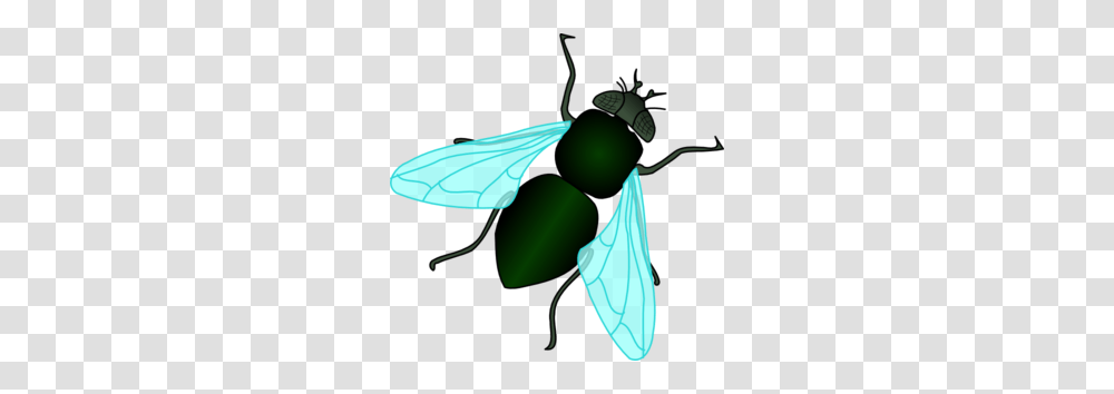 Fly Clip Art, Insect, Invertebrate, Animal, Wasp Transparent Png
