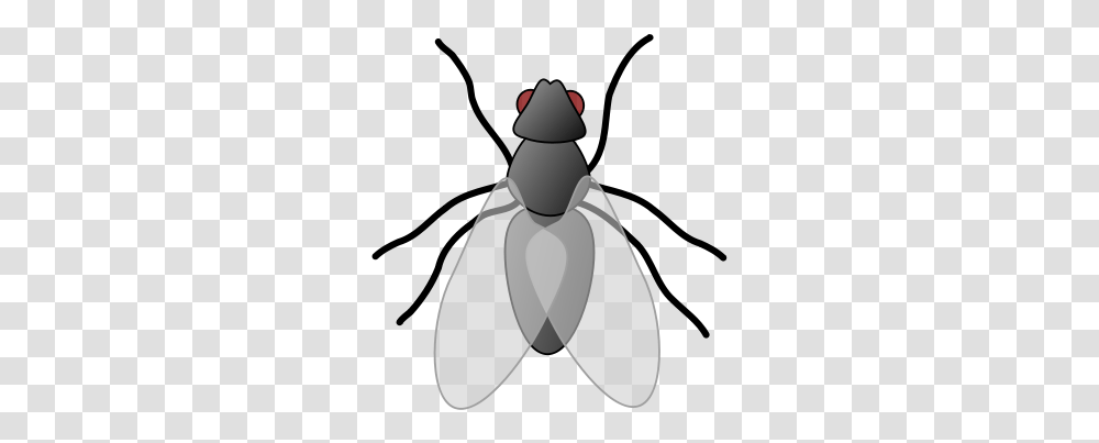 Fly Clip Art, Snowman, Winter, Outdoors, Nature Transparent Png