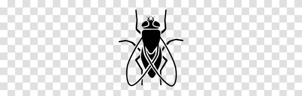 Fly Clipart, Animal, Invertebrate, Insect, Wasp Transparent Png