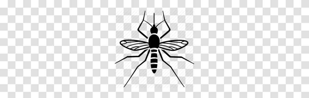 Fly Clipart, Animal, Invertebrate, Spider, Arachnid Transparent Png