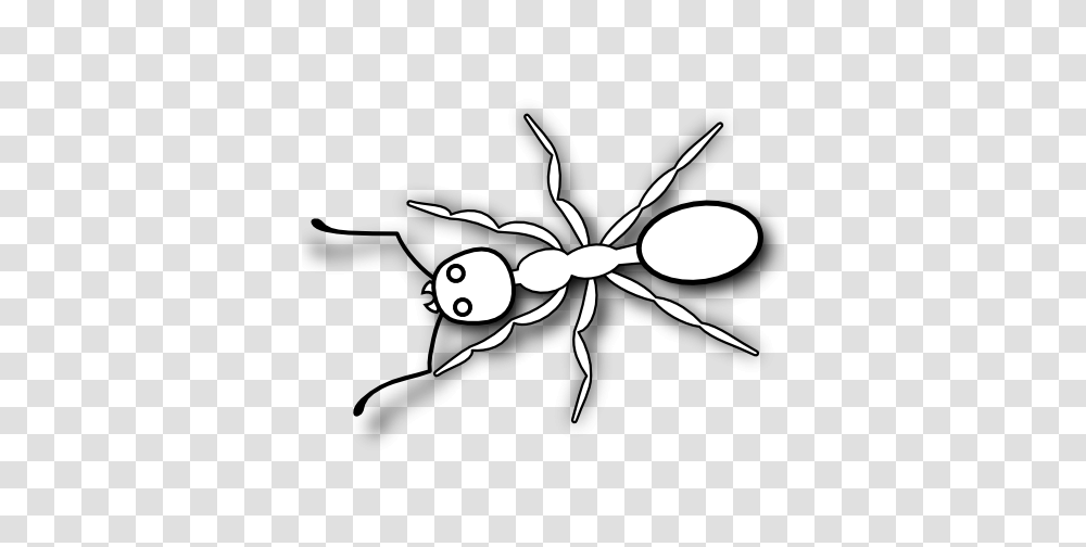 Fly Clipart Ant, Stencil, Animal, Spider, Invertebrate Transparent Png
