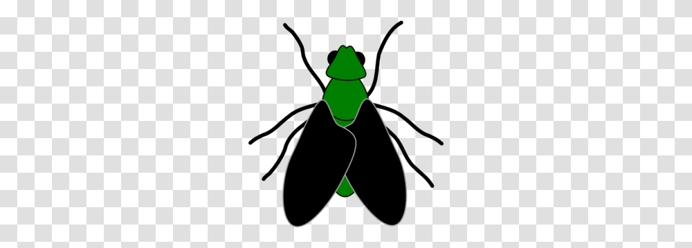 Fly Clipart Black And White, Apparel, Hat, Green Transparent Png