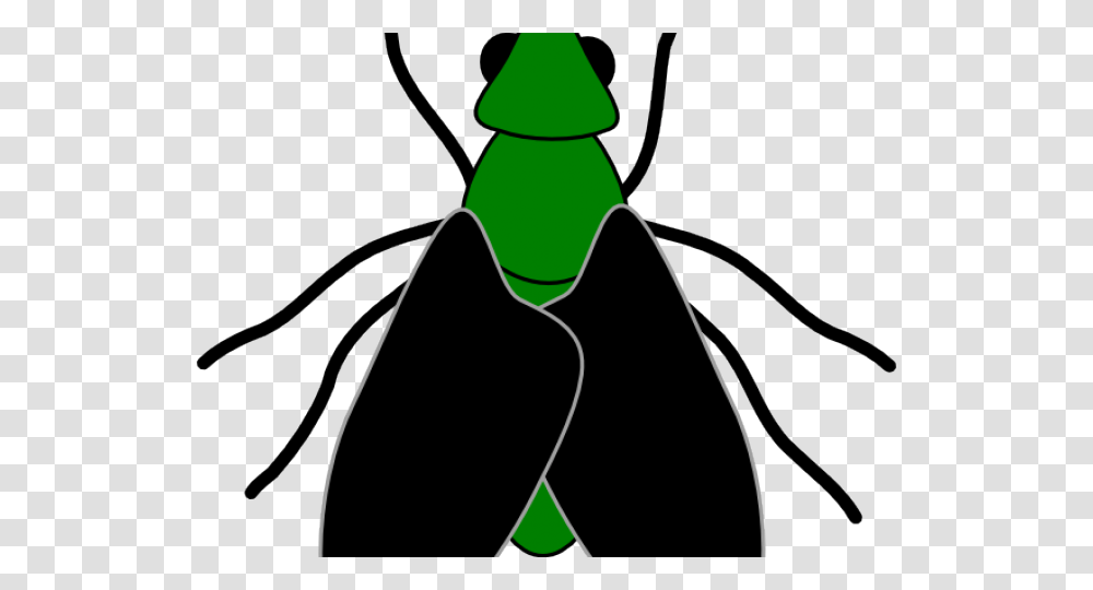 Fly Clipart Bug Insect Clip Art, Bow, Plant, Green, Light Transparent Png