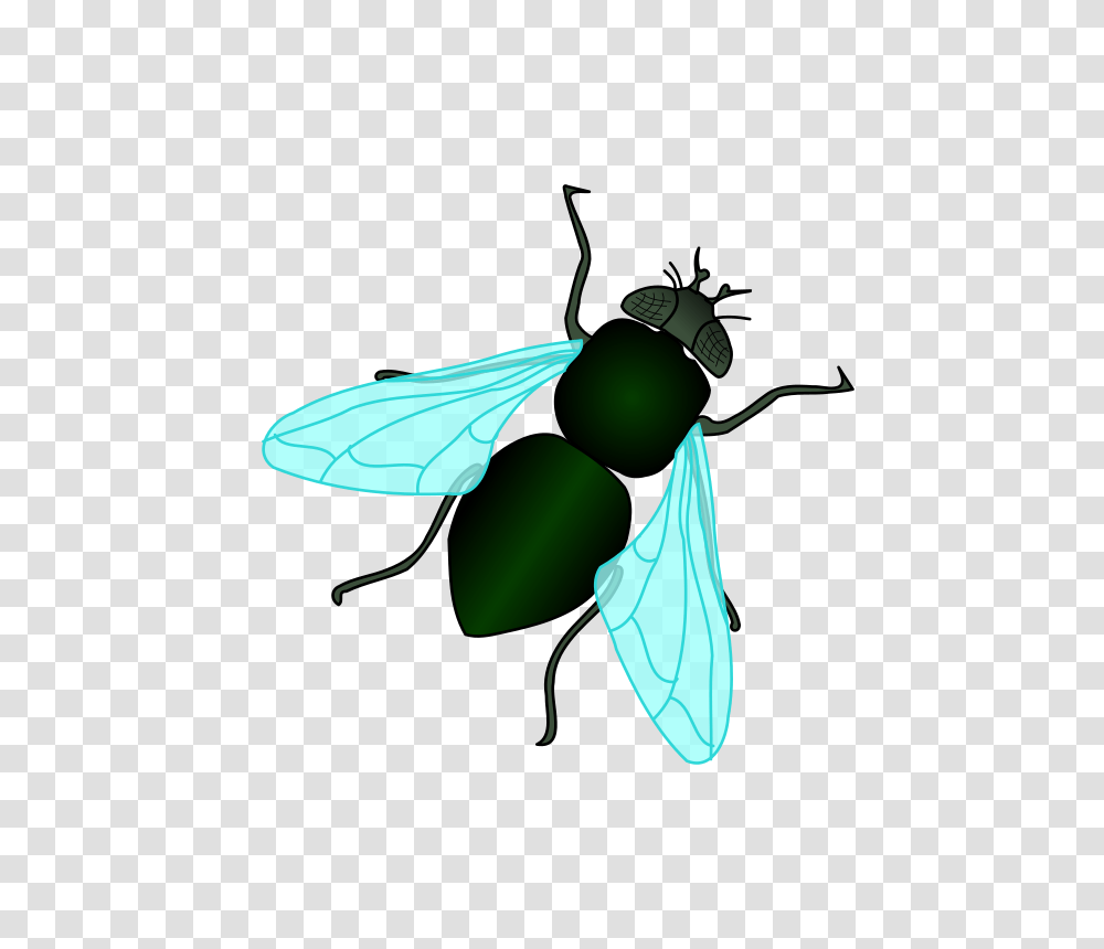 Fly Clipart Bug, Insect, Invertebrate, Animal, Wasp Transparent Png