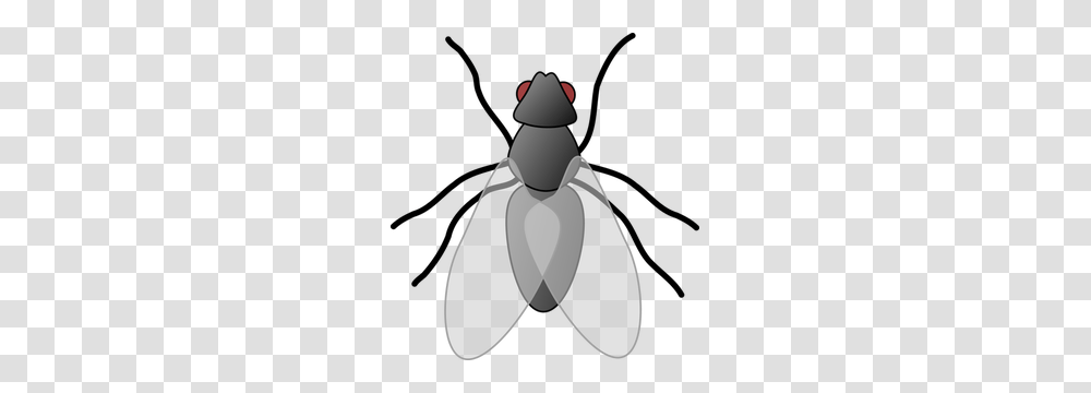 Fly Clipart Comic, Snowman, Winter, Outdoors, Nature Transparent Png