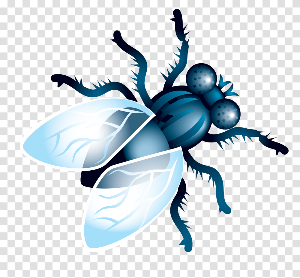 Fly Clipart Fly Clipart, Invertebrate, Animal, Insect Transparent Png