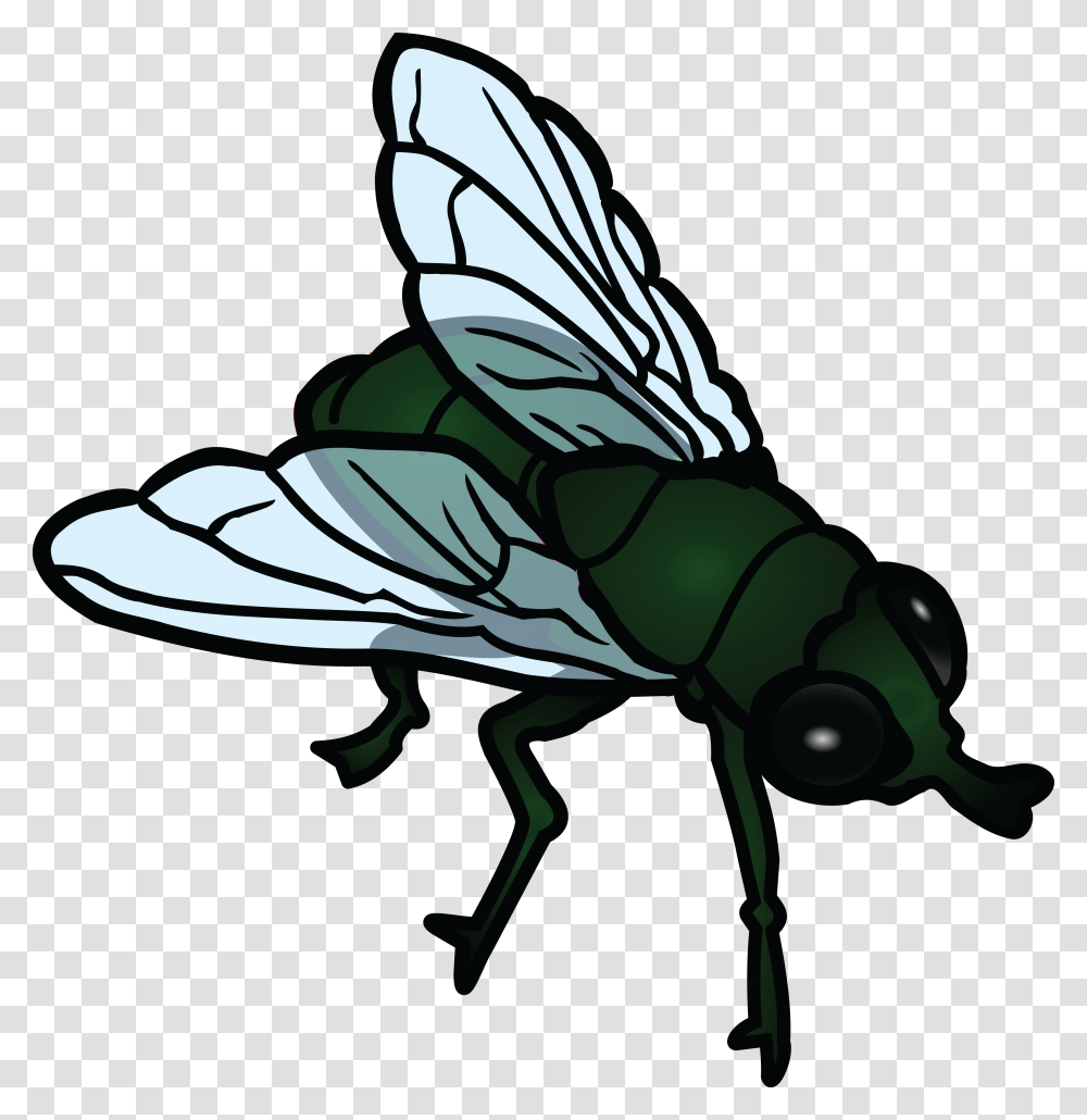 Fly Clipart, Insect, Invertebrate, Animal, Wasp Transparent Png