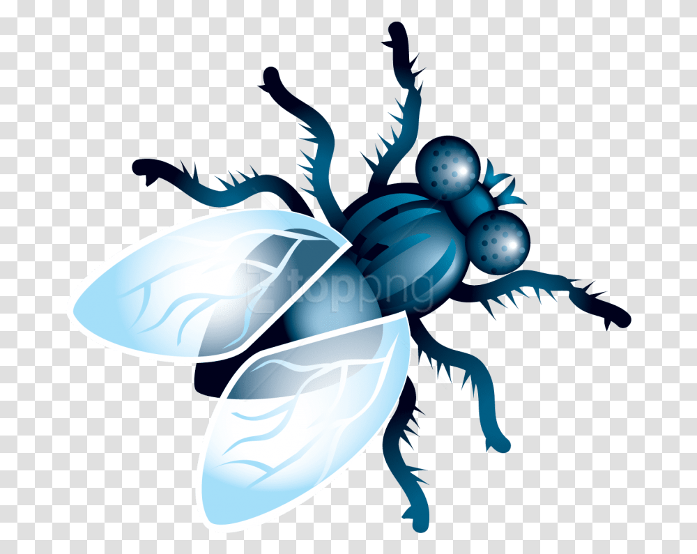 Fly Clipart, Invertebrate, Animal, Insect Transparent Png