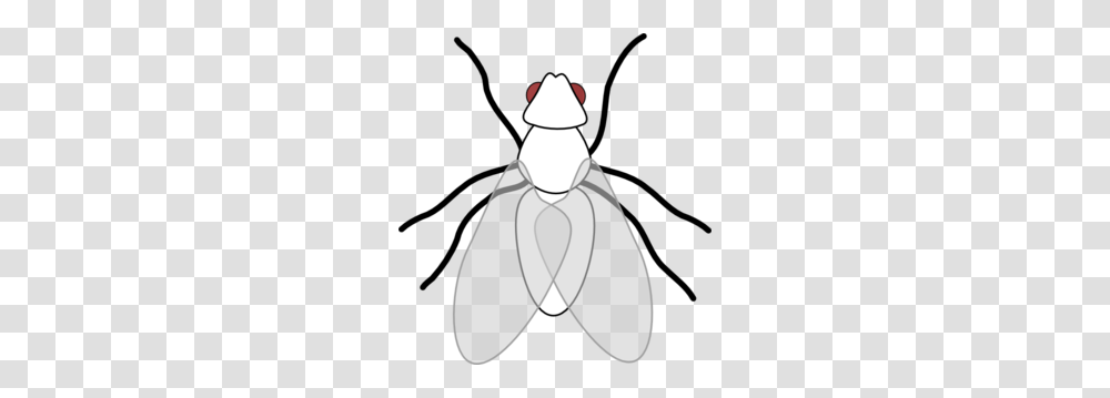 Fly Clipart, Snowman, Outdoors, Nature, Animal Transparent Png