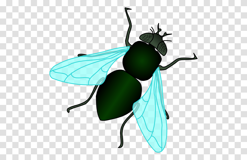 Fly Clipart, Wasp, Bee, Insect, Invertebrate Transparent Png