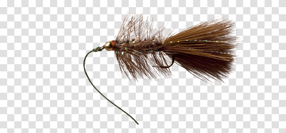 Fly Fishing Flies, Insect, Invertebrate, Animal, Bird Transparent Png