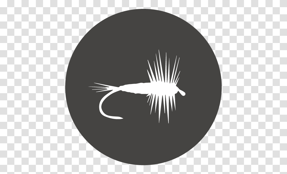 Fly Fishing Shrimp, Nature, Outdoors, Moon Transparent Png