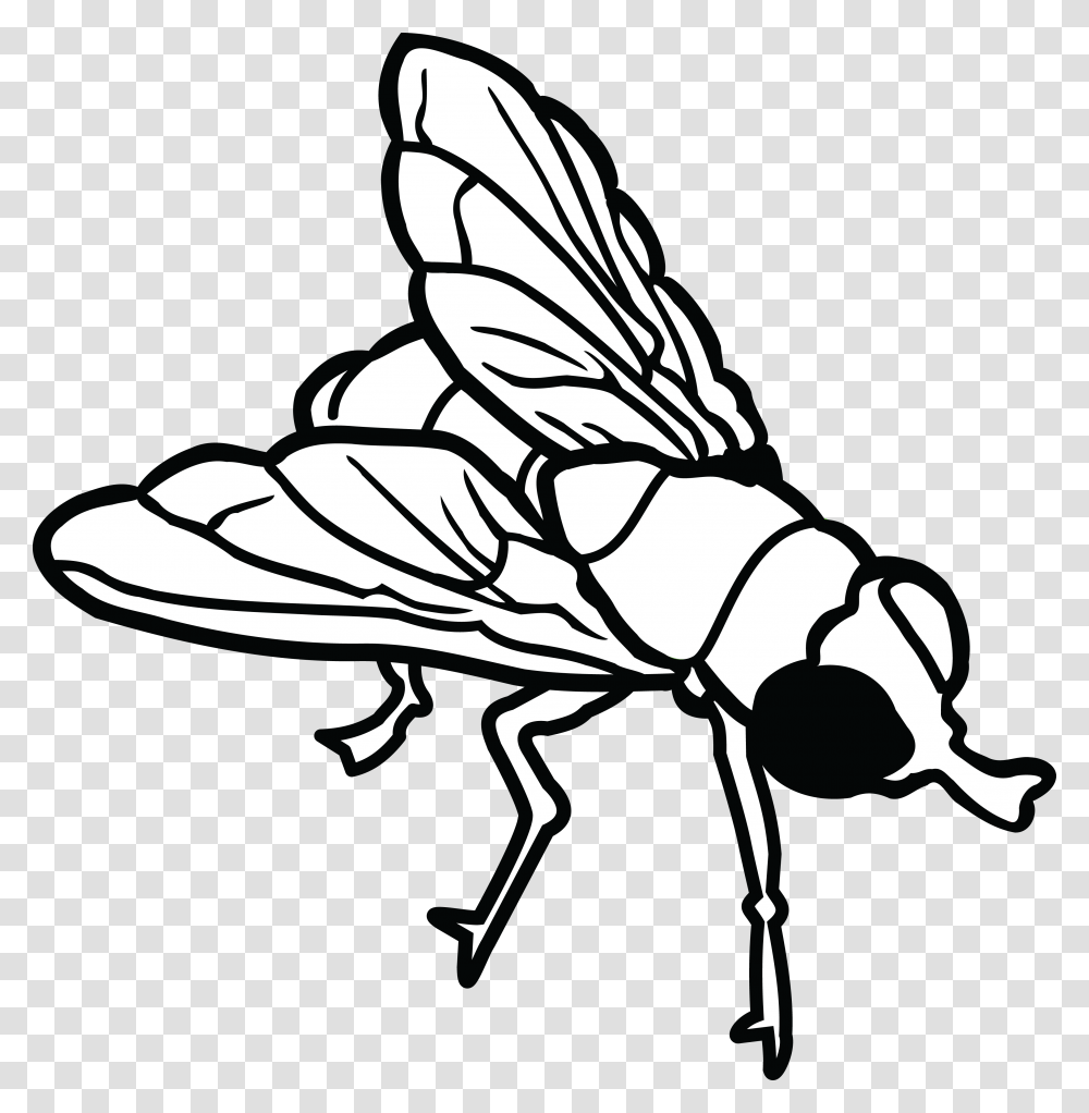 Fly Flying Clip Art, Insect, Invertebrate, Animal, Wasp Transparent Png