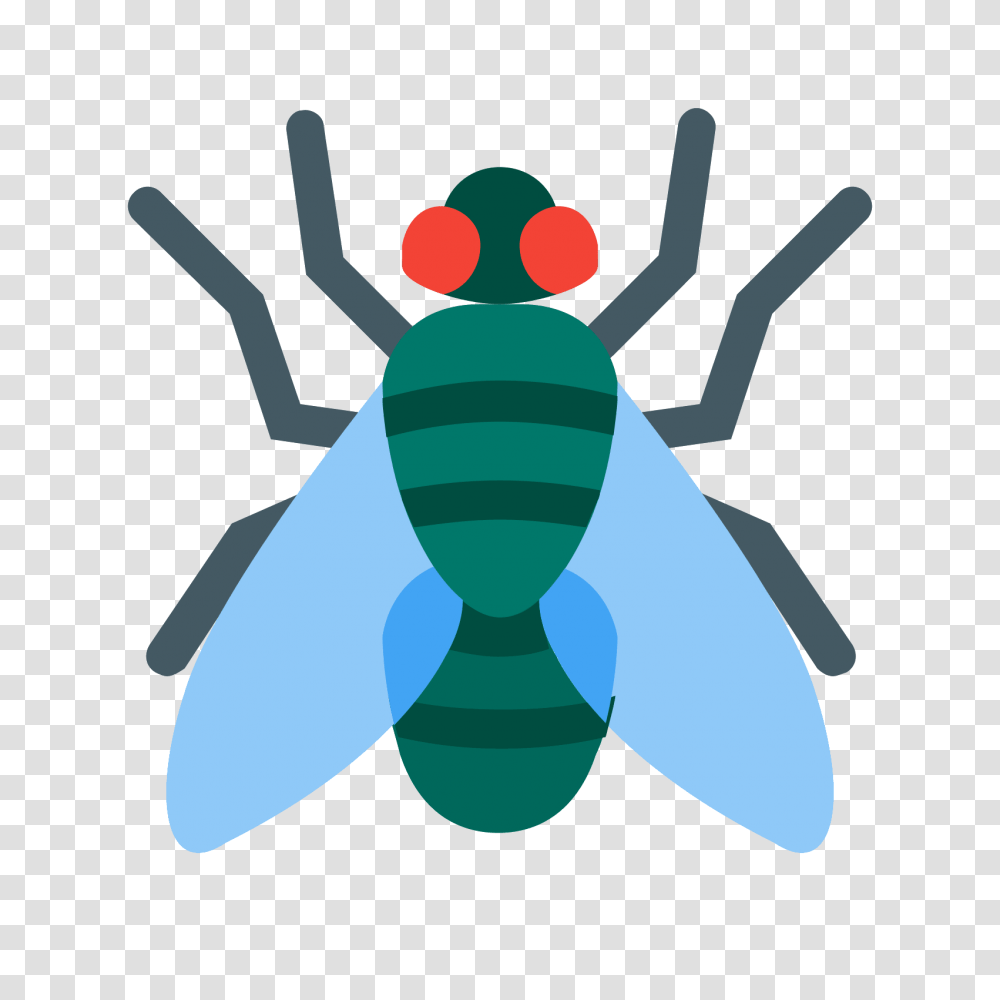 Fly Icon, Insect, Invertebrate, Animal, Bomb Transparent Png