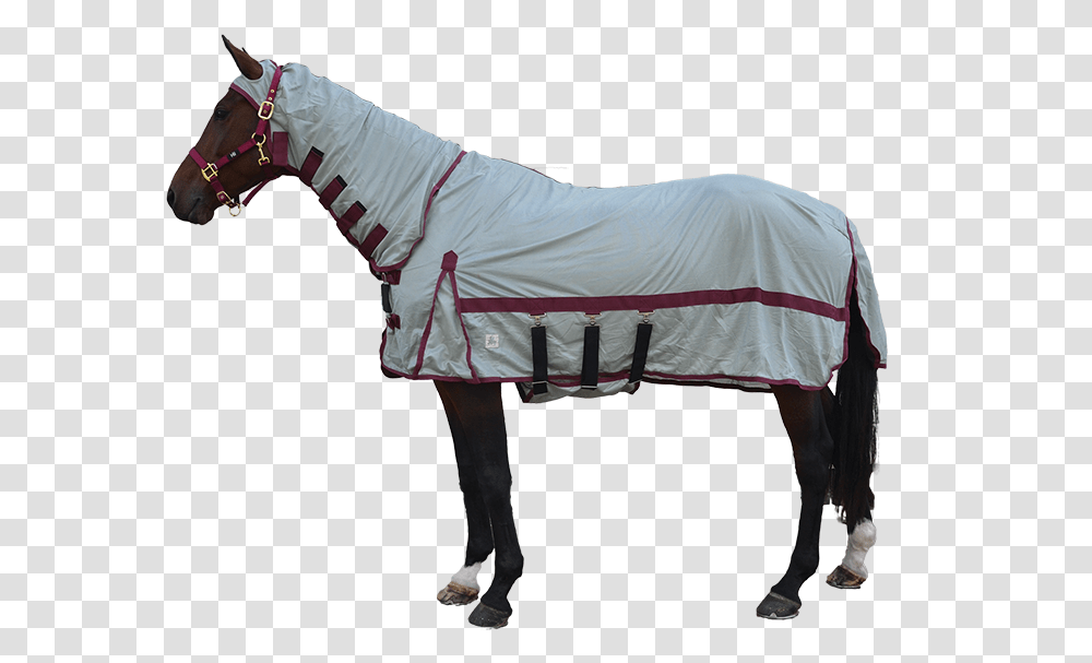 Fly Mask, Coat, Person, Suit Transparent Png