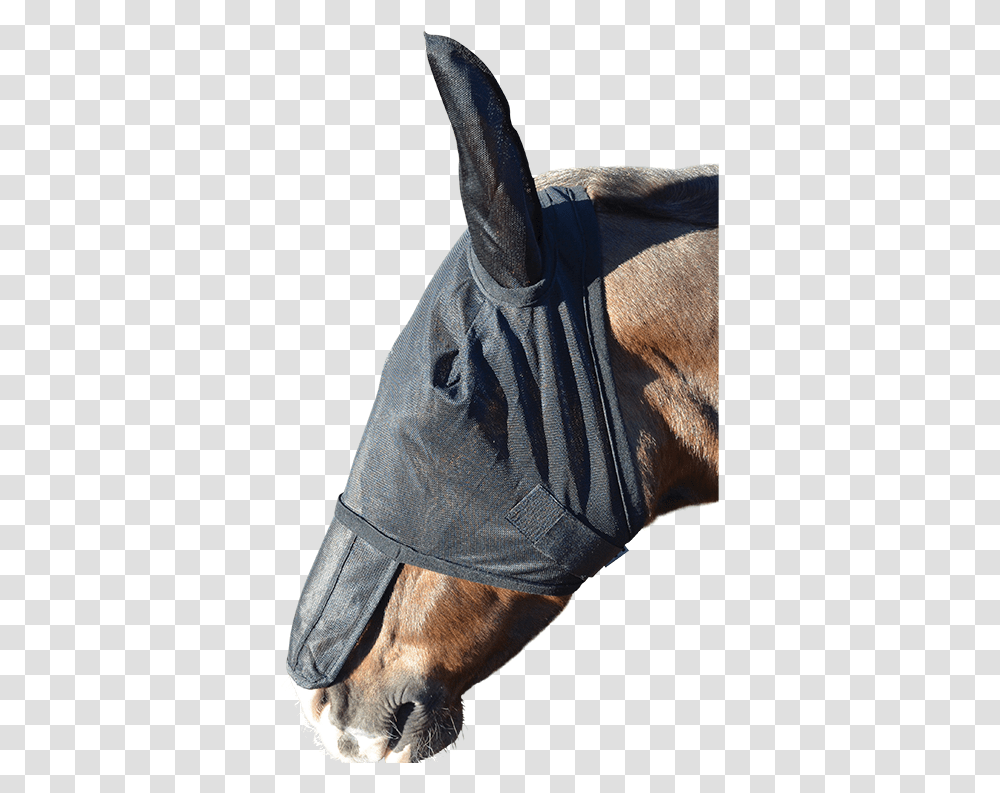 Fly Mask, Horse, Mammal, Animal Transparent Png