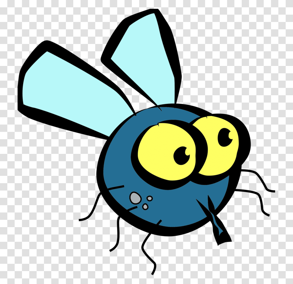 Fly Picture Fly Clipart, Insect, Invertebrate, Animal, Photography Transparent Png
