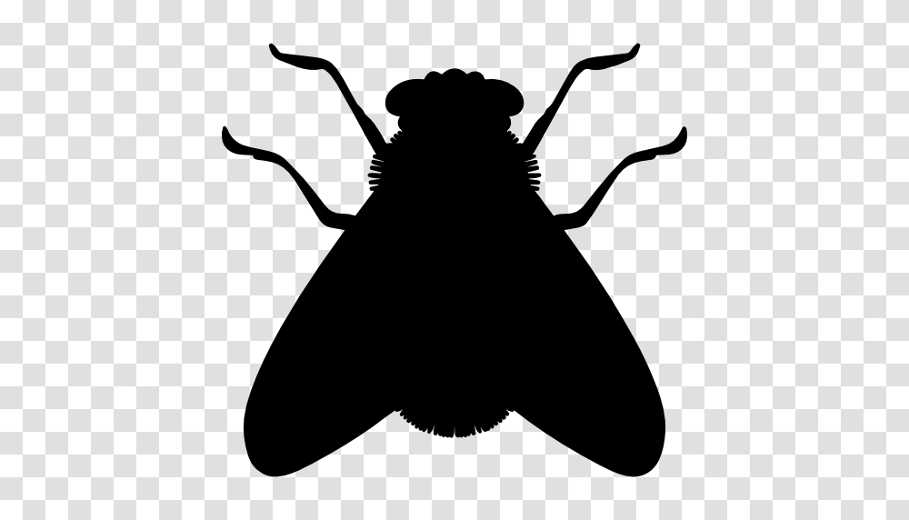Fly Shape, Silhouette, Stencil, Animal, Insect Transparent Png