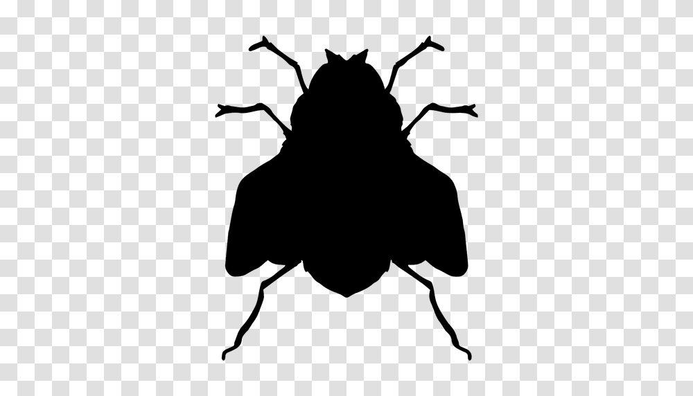 Fly Silhouette, Insect, Invertebrate, Animal, Stencil Transparent Png