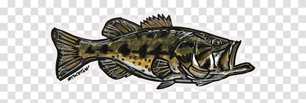 Fly Slaps Matthew Stockton Largemouth Bass Sticker Sea Bass, Perch, Fish, Animal Transparent Png