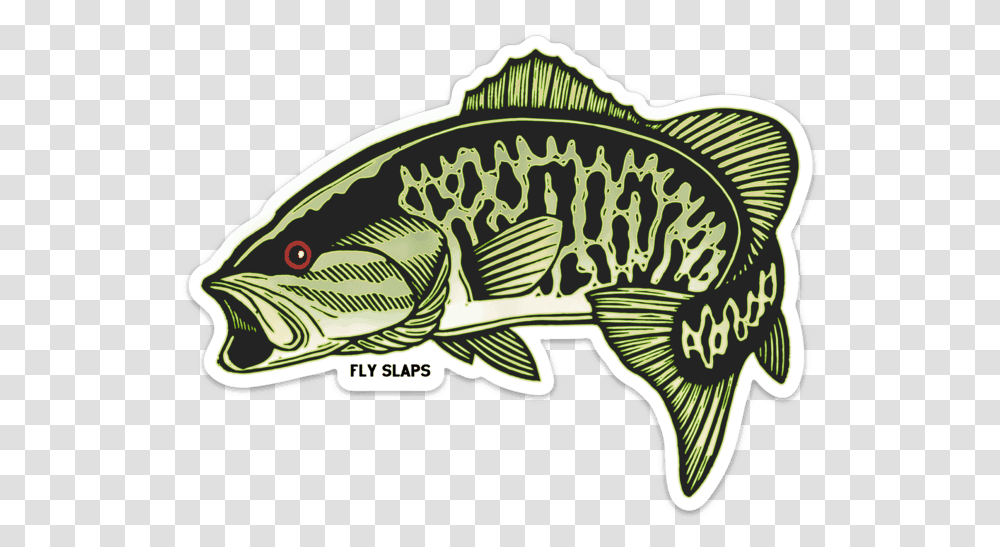 Fly Slaps Wandering Blue Lines Smallmouth Bass Sticker Smallmouth Bass Sticker, Perch, Fish, Animal Transparent Png