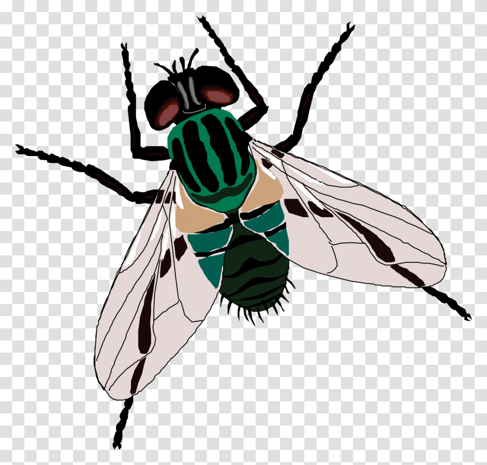 Fly Sticker Toilet Clip Art Fly Clipart Background, Insect, Invertebrate, Animal, Person Transparent Png
