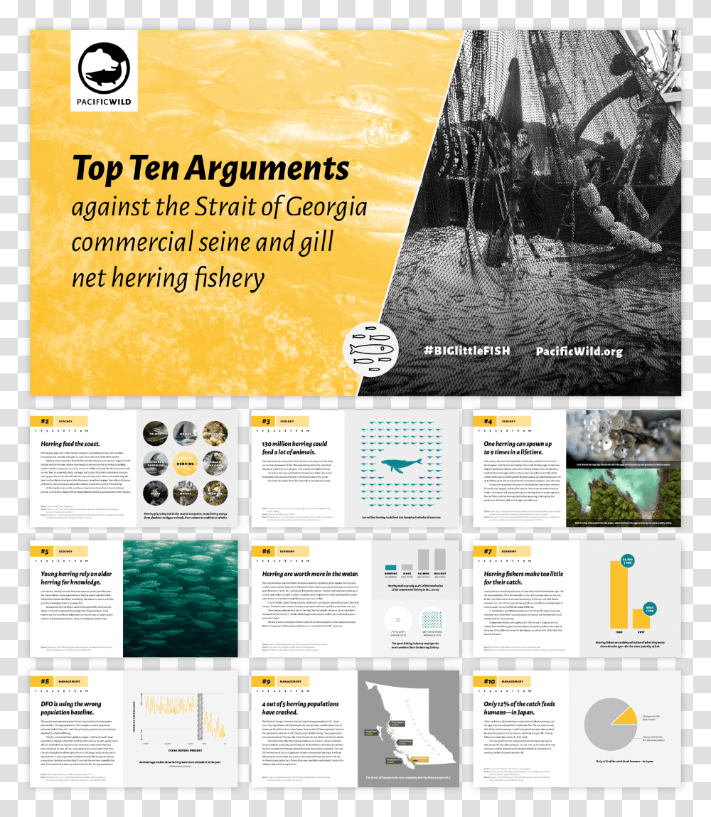 Flyer, Advertisement, Poster, Paper, Brochure Transparent Png